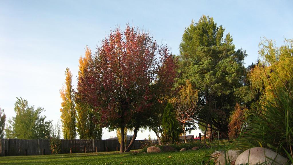 Posada del Viajero San Rafael (Mendoza) Exterior foto