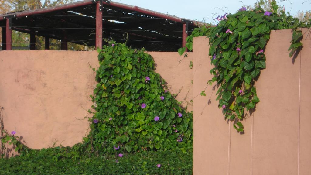 Posada del Viajero San Rafael (Mendoza) Exterior foto