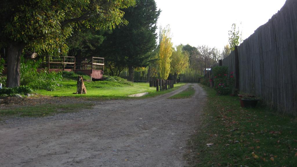Posada del Viajero San Rafael (Mendoza) Exterior foto