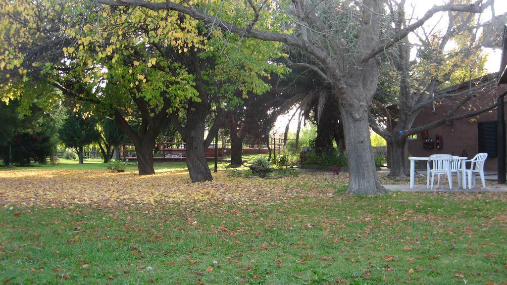 Posada del Viajero San Rafael (Mendoza) Exterior foto